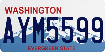 WA license plate AYM5599