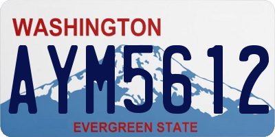 WA license plate AYM5612