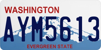 WA license plate AYM5613