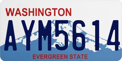 WA license plate AYM5614