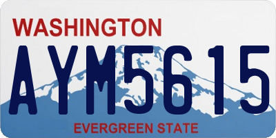 WA license plate AYM5615