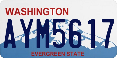 WA license plate AYM5617