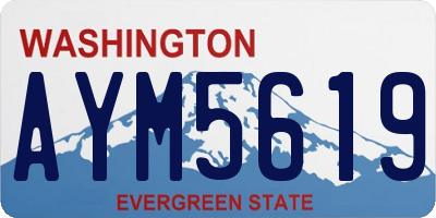 WA license plate AYM5619