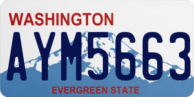 WA license plate AYM5663