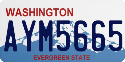 WA license plate AYM5665