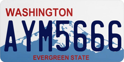 WA license plate AYM5666
