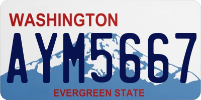 WA license plate AYM5667