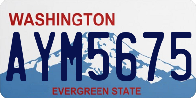 WA license plate AYM5675