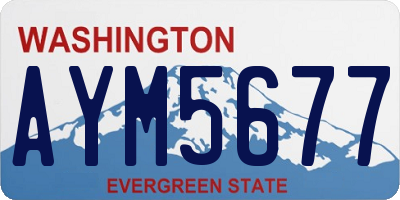 WA license plate AYM5677