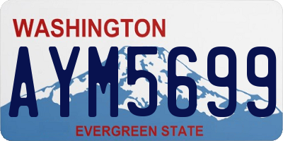 WA license plate AYM5699