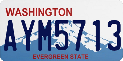 WA license plate AYM5713