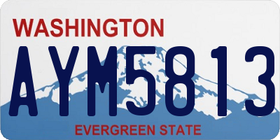 WA license plate AYM5813