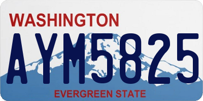 WA license plate AYM5825