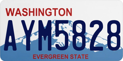 WA license plate AYM5828