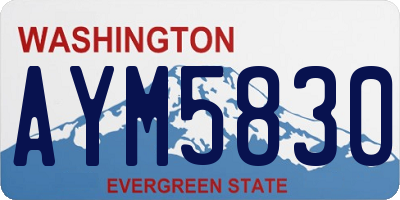 WA license plate AYM5830