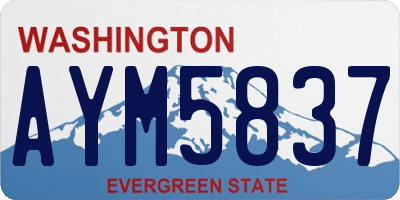 WA license plate AYM5837