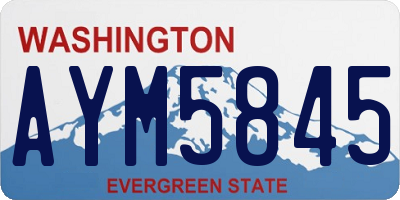 WA license plate AYM5845