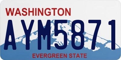 WA license plate AYM5871