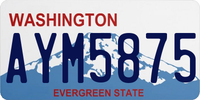 WA license plate AYM5875