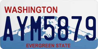 WA license plate AYM5879