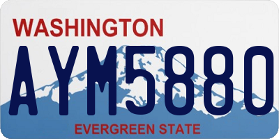 WA license plate AYM5880