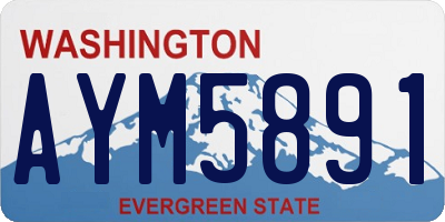 WA license plate AYM5891