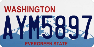 WA license plate AYM5897