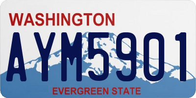 WA license plate AYM5901