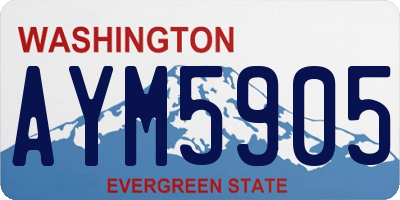 WA license plate AYM5905