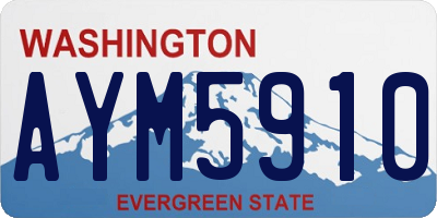 WA license plate AYM5910