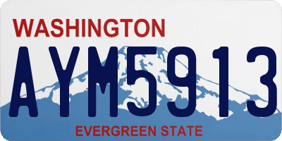 WA license plate AYM5913