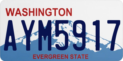 WA license plate AYM5917