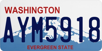WA license plate AYM5918