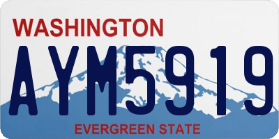 WA license plate AYM5919