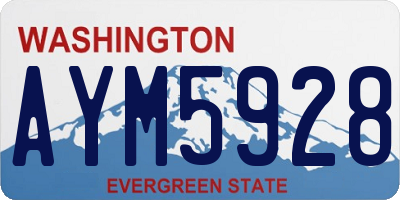 WA license plate AYM5928
