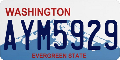 WA license plate AYM5929