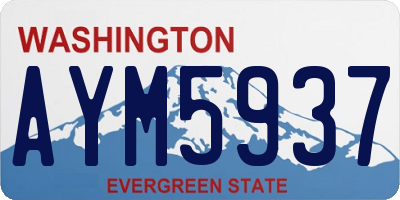 WA license plate AYM5937