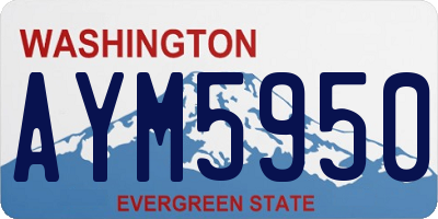 WA license plate AYM5950
