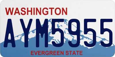 WA license plate AYM5955