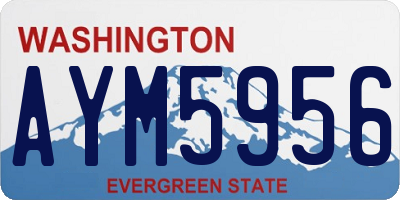WA license plate AYM5956