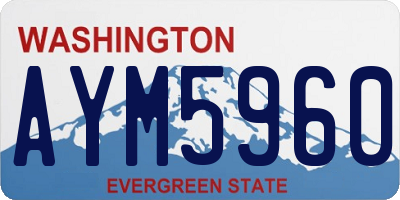 WA license plate AYM5960