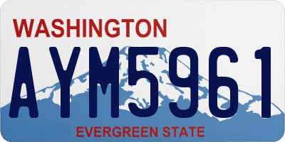 WA license plate AYM5961