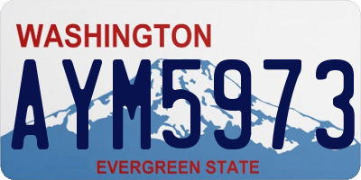 WA license plate AYM5973