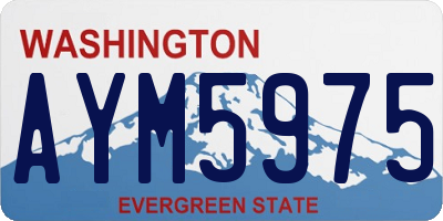 WA license plate AYM5975