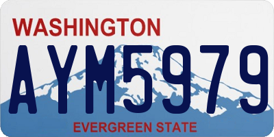 WA license plate AYM5979