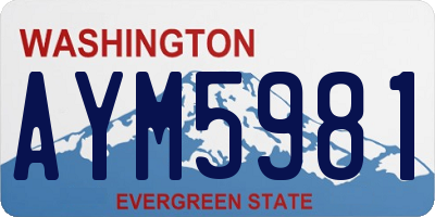 WA license plate AYM5981