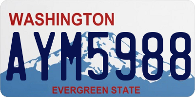 WA license plate AYM5988