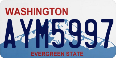 WA license plate AYM5997