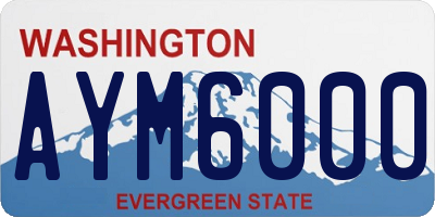WA license plate AYM6000