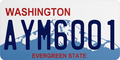 WA license plate AYM6001